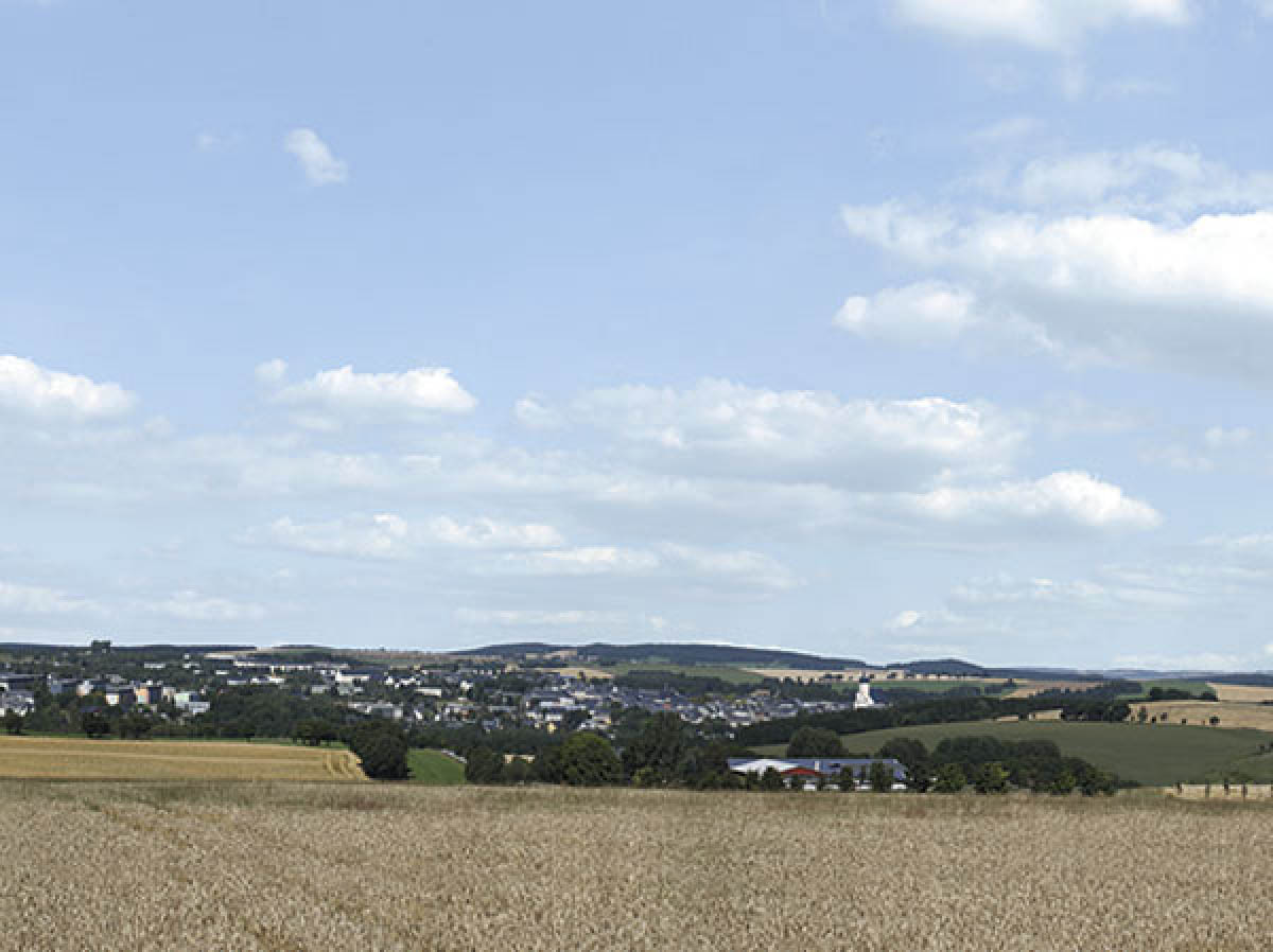 015-42514 - Hintergrund Erzgebirge 2 3-teilig (Gesamtlänge 279 x 65 cm)